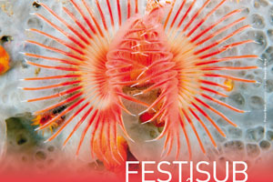 Affiche_Festisub_2016_300x200