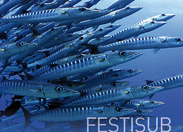 Affiche_Festisub_20141